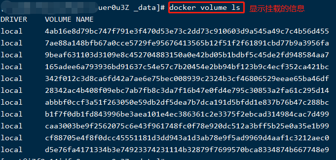 从Docker白到实战容器数据卷，整理得很清楚插图13