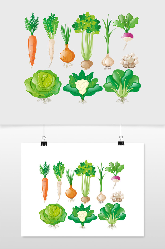 胡萝卜不同类型蔬菜素食插图