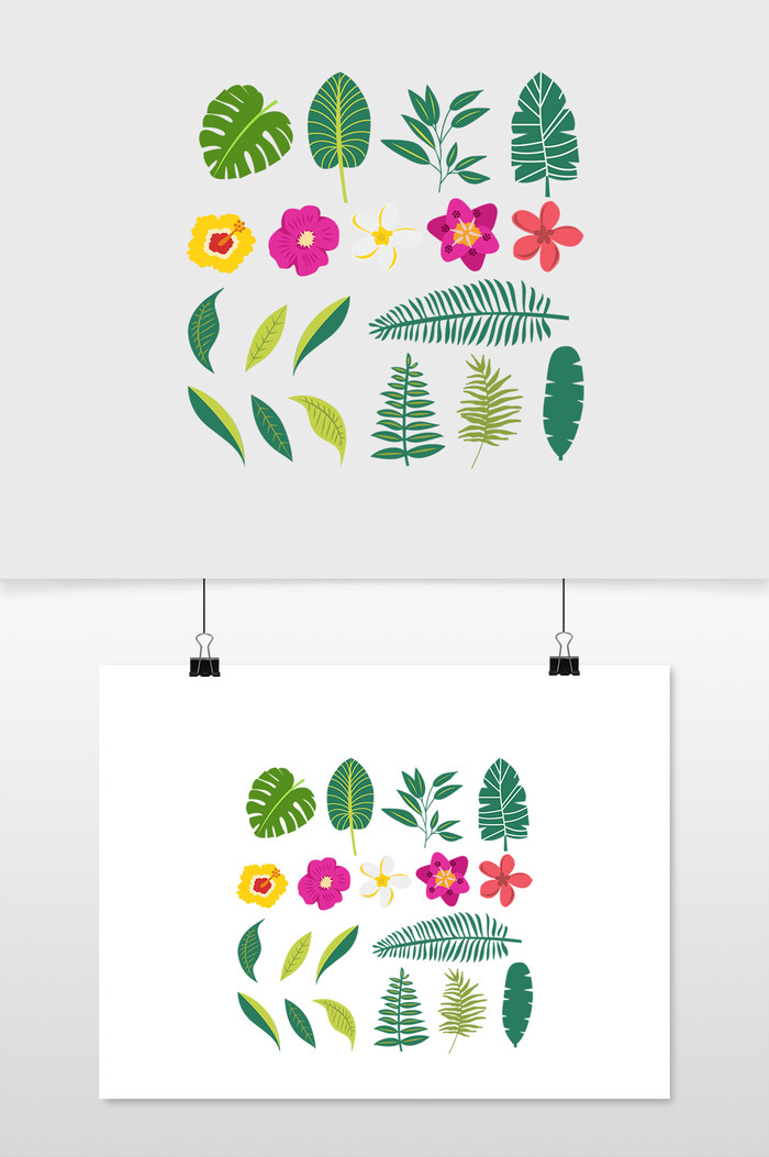 手绘植物和外来花卉矢量png插图