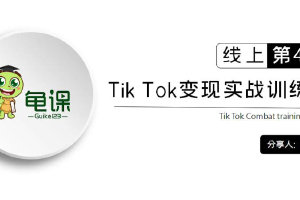 龟课·Tik Tok变现实战训练营线上第4期视频