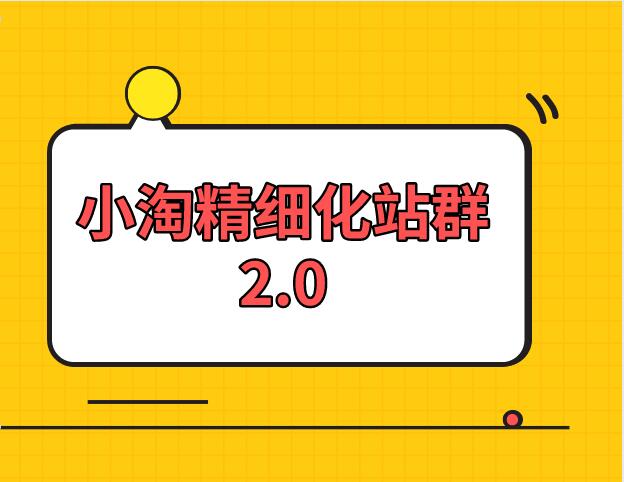 小淘学社：实操精细化网站站群项目【全套视频教程】插图