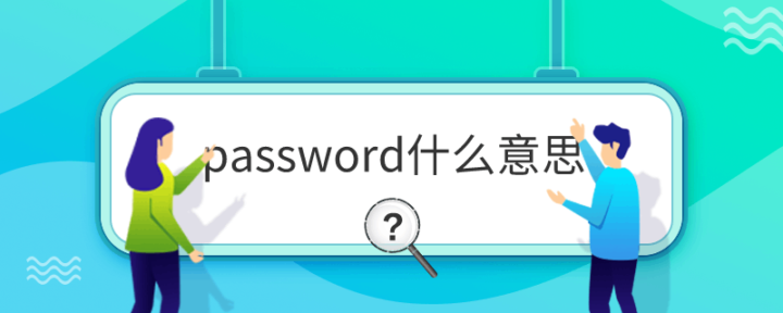 password什么意思插图