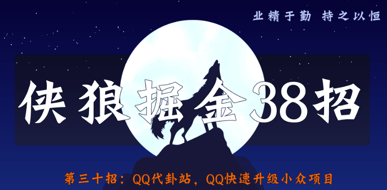QQ代卦站，QQ快速升级小众项目【侠狼掘金38招第30招】插图